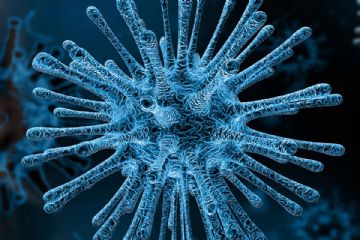 Nuovo Coronavirus Sars-cov-2 - Linee Guida Per La Ripresa Delle Attivita&#39; Economiche E Sociali