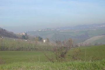 Sfoglia la galleria